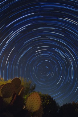Cactus Star Trails 06-22_small