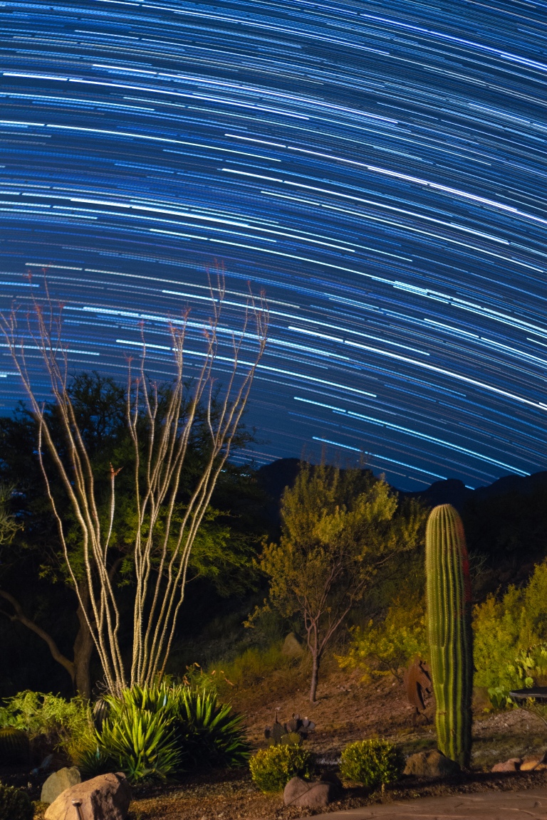 Star Trails_Cactus backyard-2